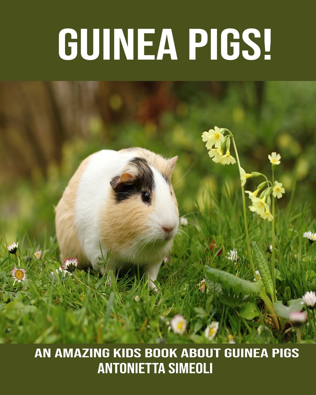 Guinea pigs! An Amazing kids Book About Guinea pigs (Paperback