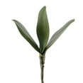 thumbnail image 2 of Artificial Green Phalaenopsis Orchid Leaves Faux Leather Real Touch Plants Arrangement for Flowers Garden Bonsai Decoration, 2 of 8