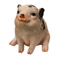 thumbnail image 4 of Sitting Pig Looking Up, 4 of 5