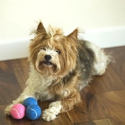 Midlee 12-Piece Happy Birthday Tennis Balls Dog Toys, Blue, Small