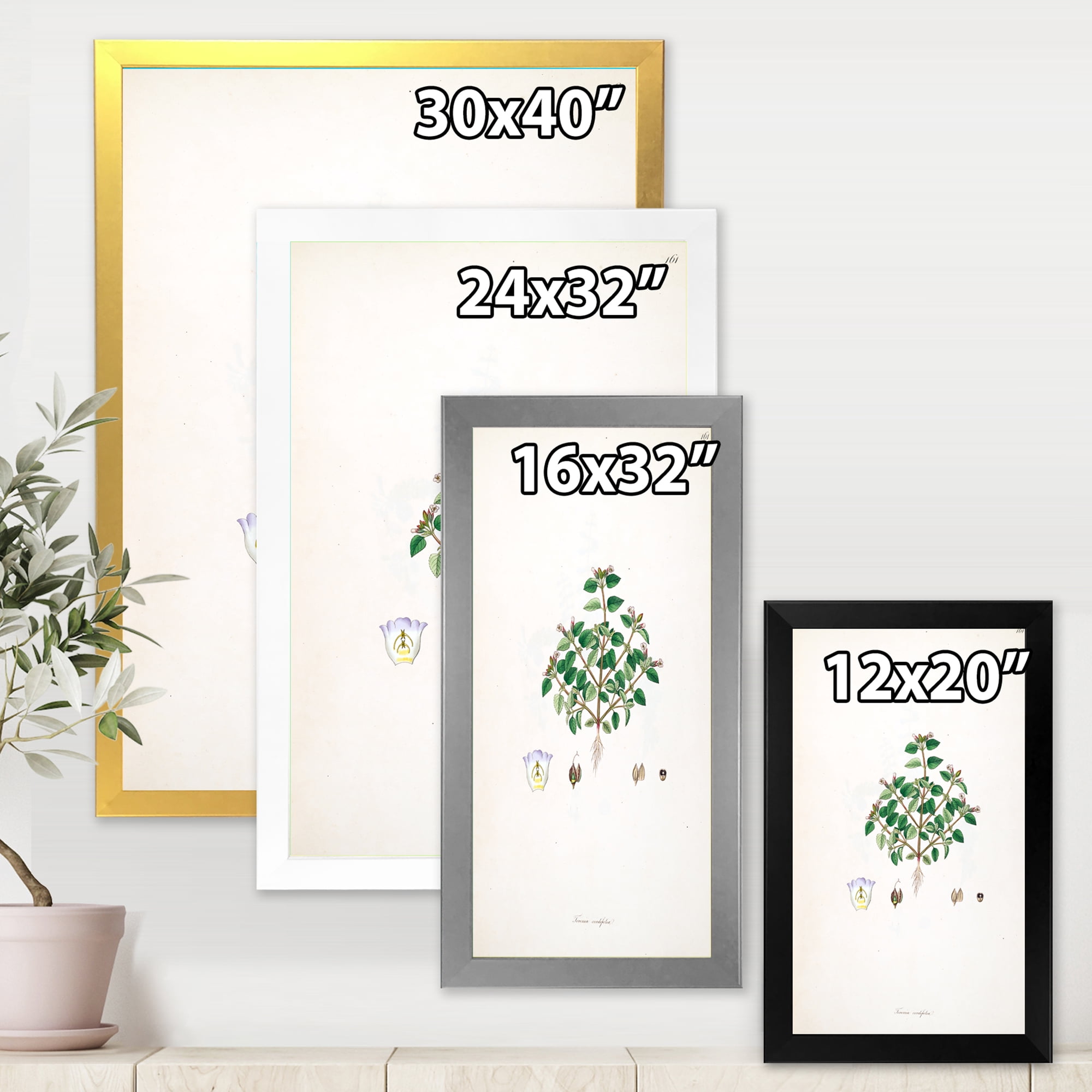 Designart 'Ancient Plant Life XIII' Farmhouse Framed Art Print