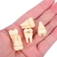 thumbnail image 5 of GETAJGHSD 5Pcs Beige Resin Tooth Pendant Charms with Brace for Jewelry Making Accessories, 5 of 8