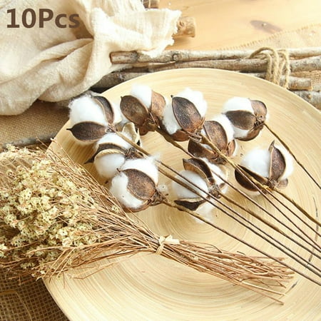 Floral Wedding Centerpieces SUPERHOMUSE 10Pcs Natural White Cotton Stem Flowers Cotton Boll Branches Farmhouse Rustic Style Vase Display Filler Floral Wedding Centerpiece Decorations 23-Inch ()