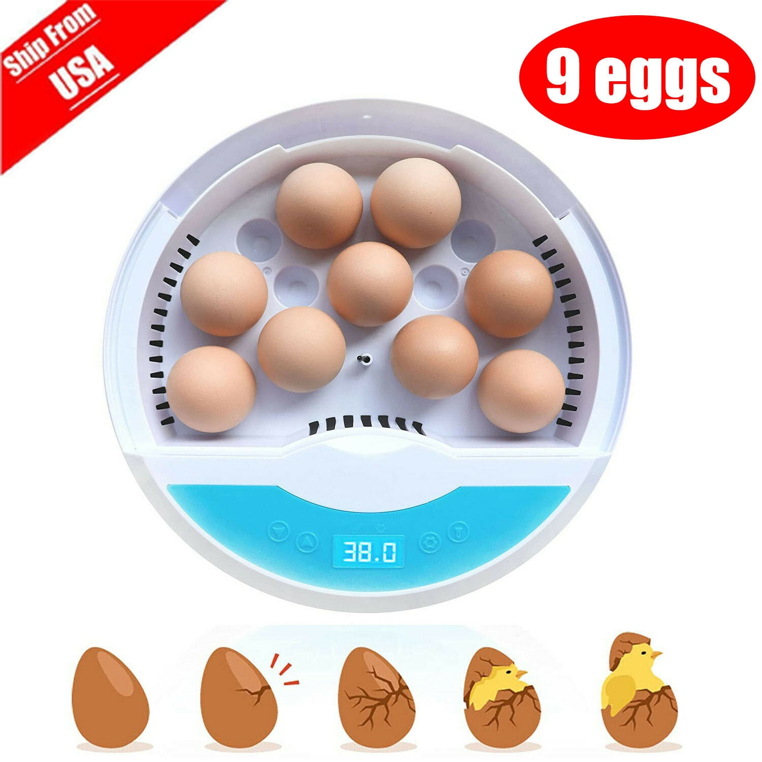 SHANNA Egg Incubator, with 9 LED Luminous Egg Candle Tester and Temperature Control Function