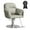 Gray, variant on Barber Chair, Salon Chair with Adjustable Height Styling Chair 360 Degrees Rolling Swivel Stylist Chair with Padded Armrests and Backrest for Hair Stylist, Gray