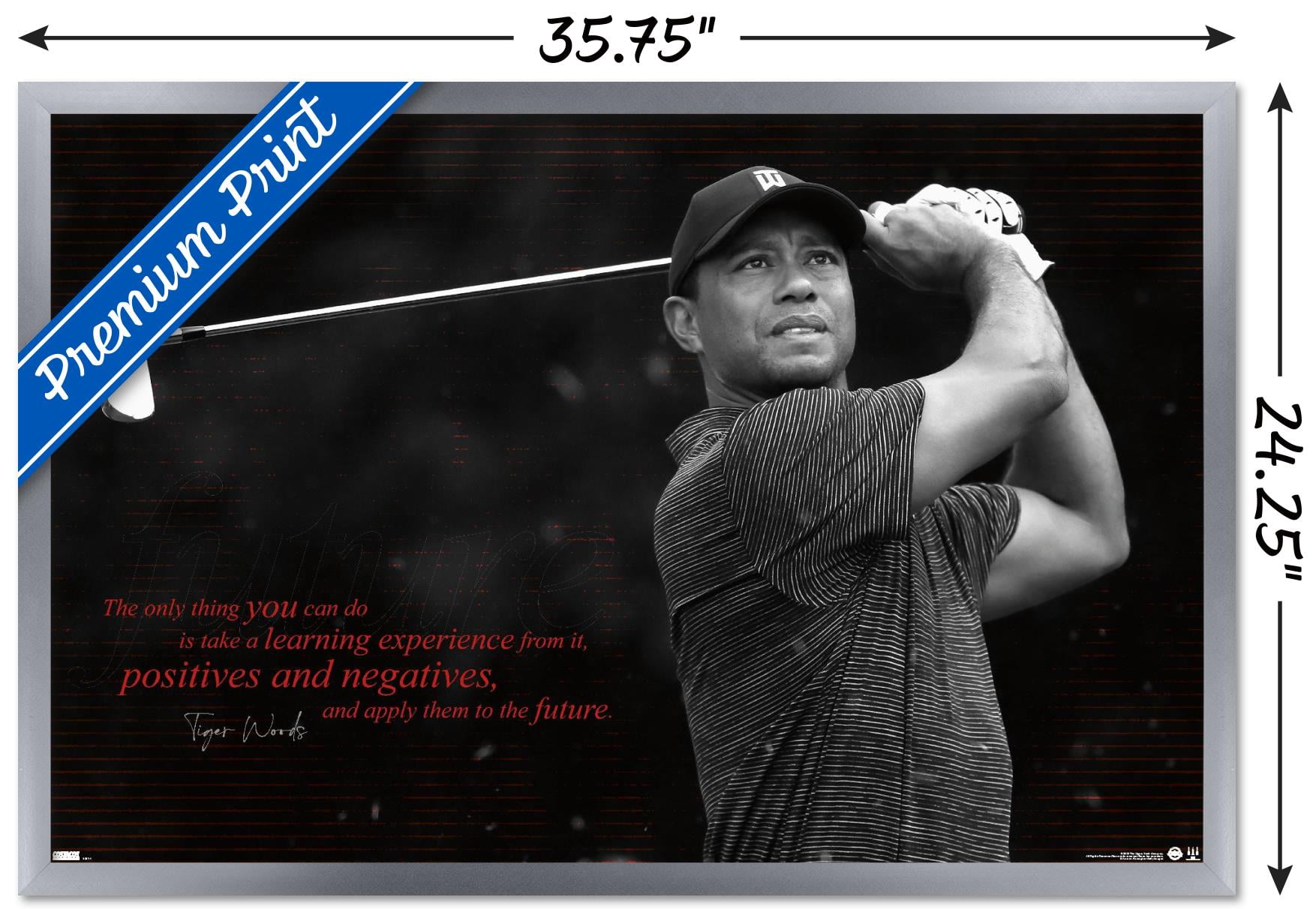 Tiger Woods - Future Wall Poster, 22.375" x 34" Framed