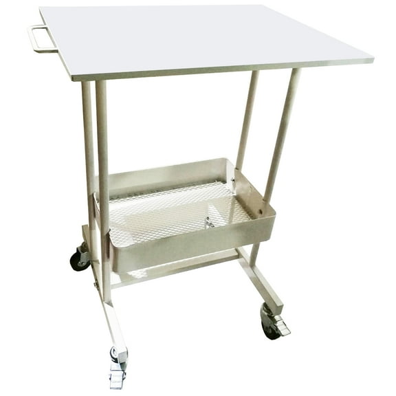 INTBUYING Multifunctional Mobile Cart 2 Layers High Carbon Steel Mobile Trolley White