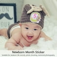 thumbnail image 2 of 1 Set Baby Monthly Milestone Stickers Animals Month Sticker for Boy and Girl, 2 of 8