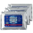 thumbnail image 1 of Paquetes de hielo Cooler Shock de larga duración, reutilizables para enfriadores, 1 of 9