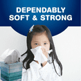 thumbnail image 4 of Scotties Facial Tissue Paper 64 Sheets Box Ultra Soft & Absorbent 2-Ply Tissues Hypoallergenic No Irritating Scents Made for Everyday Comfort Face & Body Use Portable Napkin (3 Boxes) (Design Vary), 4 of 7