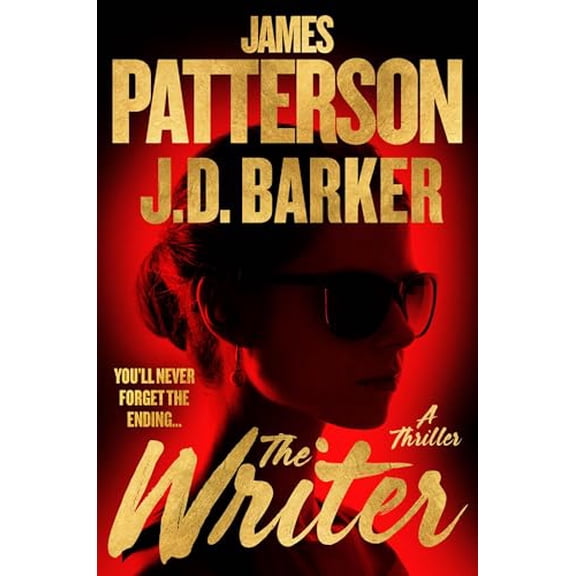 Pre-Owned The Writer: A Thriller (Hardcover) 0316570001 9780316570008