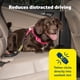 thumbnail image 2 of Cinturón de seguridad para perros PetSafe, cinturón de seguridad ajustable, 2 of 6