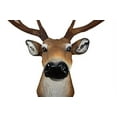 thumbnail image 4 of Ebros 8 Point Buck Deer Bust Champion Wall Mount Sculpture Plaque Figurine 21"H, 4 of 10