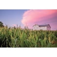 thumbnail image 3 of Quillen, Donnie 24x17 Black Modern Framed Museum Art Print Titled - Corn Crop, 3 of 5