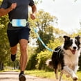 thumbnail image 1 of Adjustable Hands Waist Leash Running Cycling And Training With Favorite Waist Belt Leash Reflective Running Traction Made Of Nylon Retractable Bungee Small Large, 1 of 4