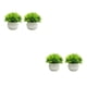 thumbnail image 1 of Plantas de simulación en maceta Cateissary 2 piezas decoración del hogar doble verde 15 cm, 1 of 6