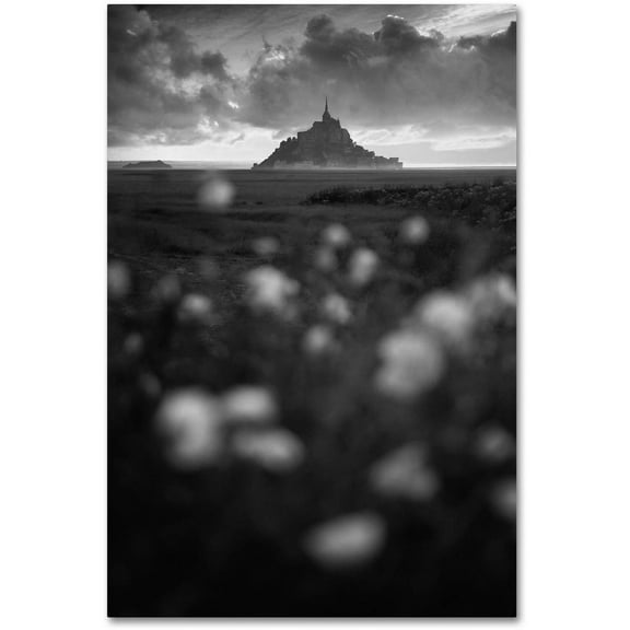 Trademark Fine Art "Mont Saint Michel" Canvas Art by Mathieu Rivrin