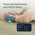 thumbnail image 2 of Owlet Accessory Sock, 2 of 6