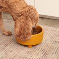 thumbnail image 3 of Waggo Uplift Cuenco de cerámica para perros para razas pequeñas, medianas y grandes, pesado y duradero, plato de comida y agua para mascotas, apto para lavavajillas, comedero elevado moderno (oliva gr, 3 of 5