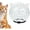 Small, variant on Cat Transparent Muzzle for Grooming, Ultra-Light Cat Recovery Collar, Breathable Astronaut Helmet Face Mask, Prevent Aggression, Nail Trimming & Grooming (Small)