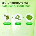 thumbnail image 5 of EQQUALBERRY 2 PACK 1.01oz Aloe PDRN Suero Suavizante Calmante – Cuidado de la piel coreana calmante para pieles sensibles, cica y aloe para reparación, hidratación y brillo radiante, no comedogénico, 5 of 5