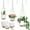 White, variant on 3-Pack Self Watering Hanging Plant Pots with Macrame Hangers, Plastic Planters with Drainage Holes and Saucers, Indoor Outdoor Flower Pots, Includes 3 Ceiling Hooks, 7"/6"/5.5" (Black)