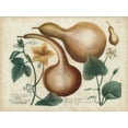 thumbnail image 2 of Weinmann 24x19 Black Ornate Wood Framed with Double Matting Museum Art Print Titled - Exotic Weinmann Botanical I, 2 of 4