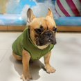 thumbnail image 4 of Abrigo verde talla L para perros, ropa de invierno para perros, chaqueta forrada cálida de invierno, chaleco para bulldog francés y pug., 4 of 5