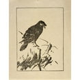 thumbnail image 2 of Arthur Wesley Dow 20x24 Gold Ornate Framed and Double Matted Museum Art Print Titled - Ipswich Prints; Raven (1980), 2 of 4
