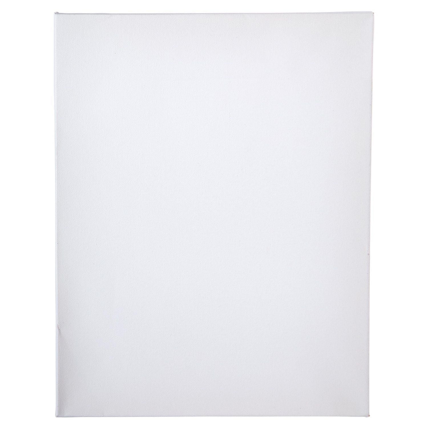 Time 4 Crafts 12-Piece Prestretched Professional Quality Blank Cotton Artist Canvas Set