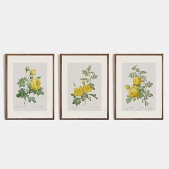 Vintage Roses Wall Art, Botanical art, Botanical Decor, Vintage Rose Print, Modern Wall Art, Victorian Illustration, Set of 3 Yellow Roses, Poster Only