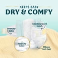thumbnail image 4 of Pampers Swaddlers Fragrance Free Baby Diapers Size Newborn, 84 Count (Select for More Options), 4 of 16