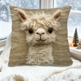 thumbnail image 6 of Hometravel Alpaca Print Pillow, 45x45cm Animal Design Cushion, Soft Cover for Living Room and Bedroom Decor, 6 of 6