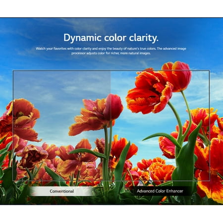 LG - 32" Class LED HD Smart webOS TV