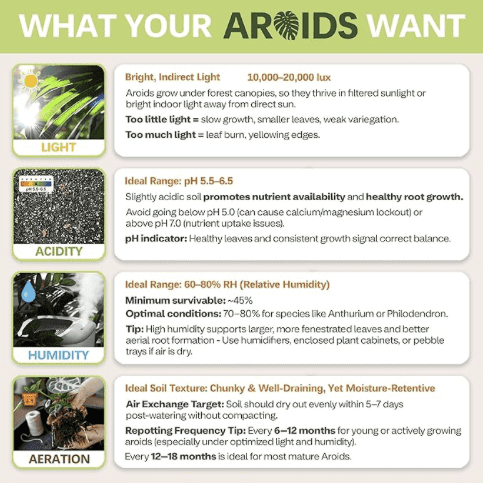AROID Potting Mix/Premium Soil for Monstera, Philodendron, Alocasia, Anthurium – Chunky, Optimally Aerated Soil – Organic & Ready to Use – Supercharges Root and Foliage Growth (4 QTS)