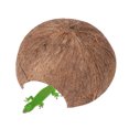 thumbnail image 2 of Espacioso túnel de coco natural para escondite de arañas, serpientes y lagartijas (sin agujero), 2 of 7
