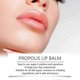 thumbnail image 3 of Honey Moisturizing Lip Balm Nourish Lips - 15G -, 3 of 3