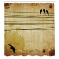 thumbnail image 3 of Ambesonne Vintage Shower Curtain, Birds on Cable Grunge, 69"Wx70"L, Mustard, 3 of 5