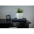 thumbnail image 3 of Better Homes & Gardens 6in Lani Ceramic Planter, White, 3 of 7