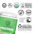 thumbnail image 6 of Sunwarrior Classic Protein Chocolate Organic Vegan Protein Powder with BCAA 750g, 6 of 8