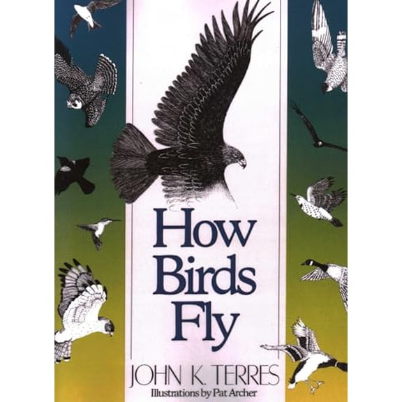 Pre-Owned How Birds Fly (Paperback) 0811724433 9780811724432