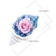thumbnail image 3 of KAKOWELY 1 caracola de flores frescas preservadas para escritorio (colores surtidos), 3 of 5
