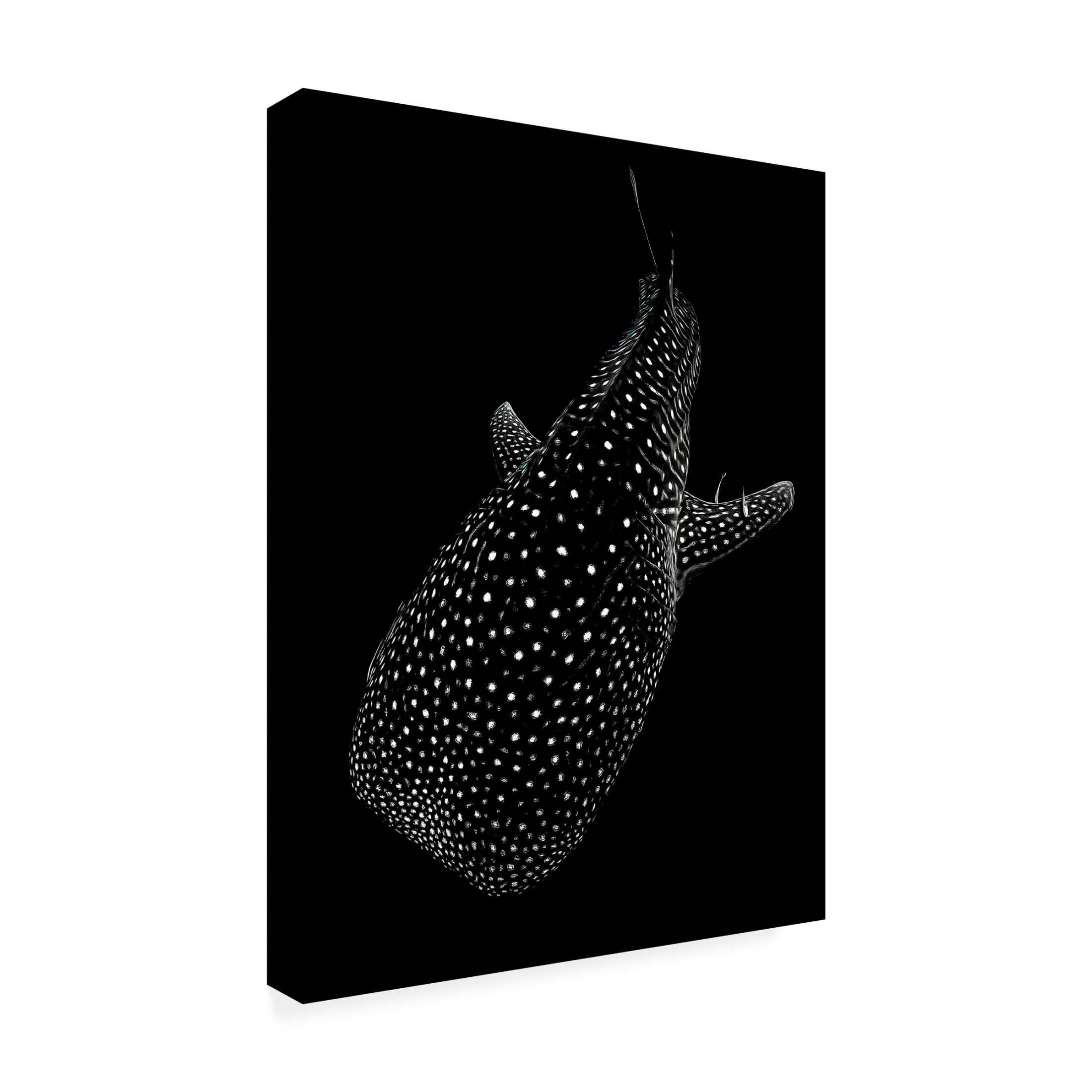 Trademark Fine Art Serge Melesan Spotted sea Canvas Wall Art