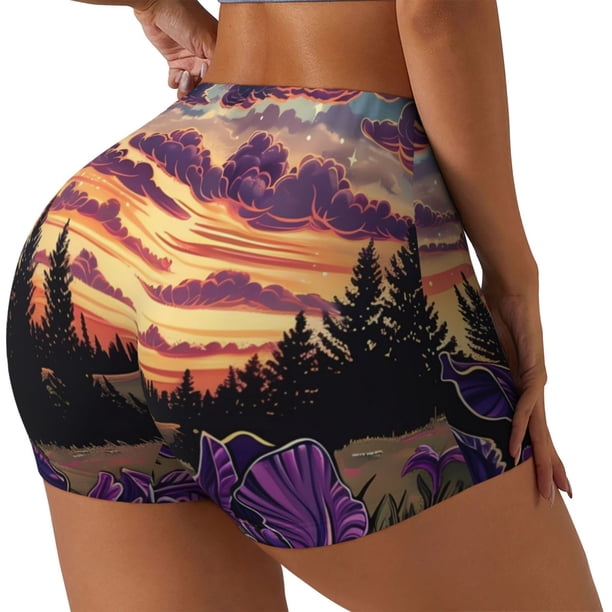 Fotbe Starry Night Purple Irises Shorts Sin Costuras – Shorts Deportivos de Cintura Alta para Mujer, Elásticos para Gimnasio, Yoga, Running o Ciclismo-XX-Large
