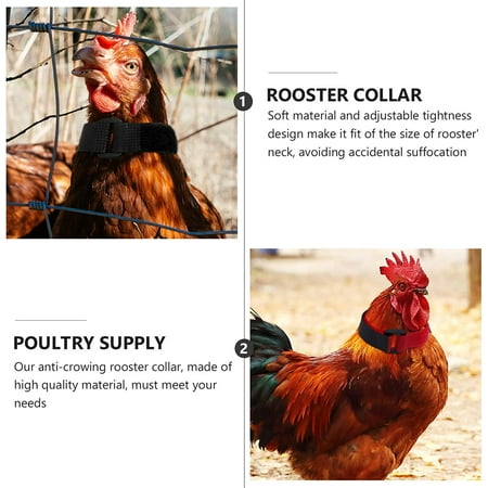 Iguohao Anti Crow Rooster Collar Neckband Noise Free No En Nylon Neck Belt To Keep Roosters Quiet 4pcs Canada