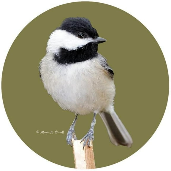 Andreas  JO-MCCH Chickadee Jar Opener