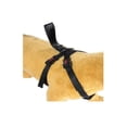 thumbnail image 4 of Cinturon de Seguridad Para Mascota  Mikels, 4 of 7