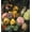 Rose-B, variant on Boho Floral Shower Curtain Vintage Dark Flower Shower Curtain Fabric Sunflower Plants Bath Curtains with Hooks, 36x72inch