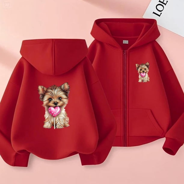 Sudadera con capucha y manga larga para niños y niñas, estilo informal, deportivo, con estampado degradado, cuello redondo, poliéster