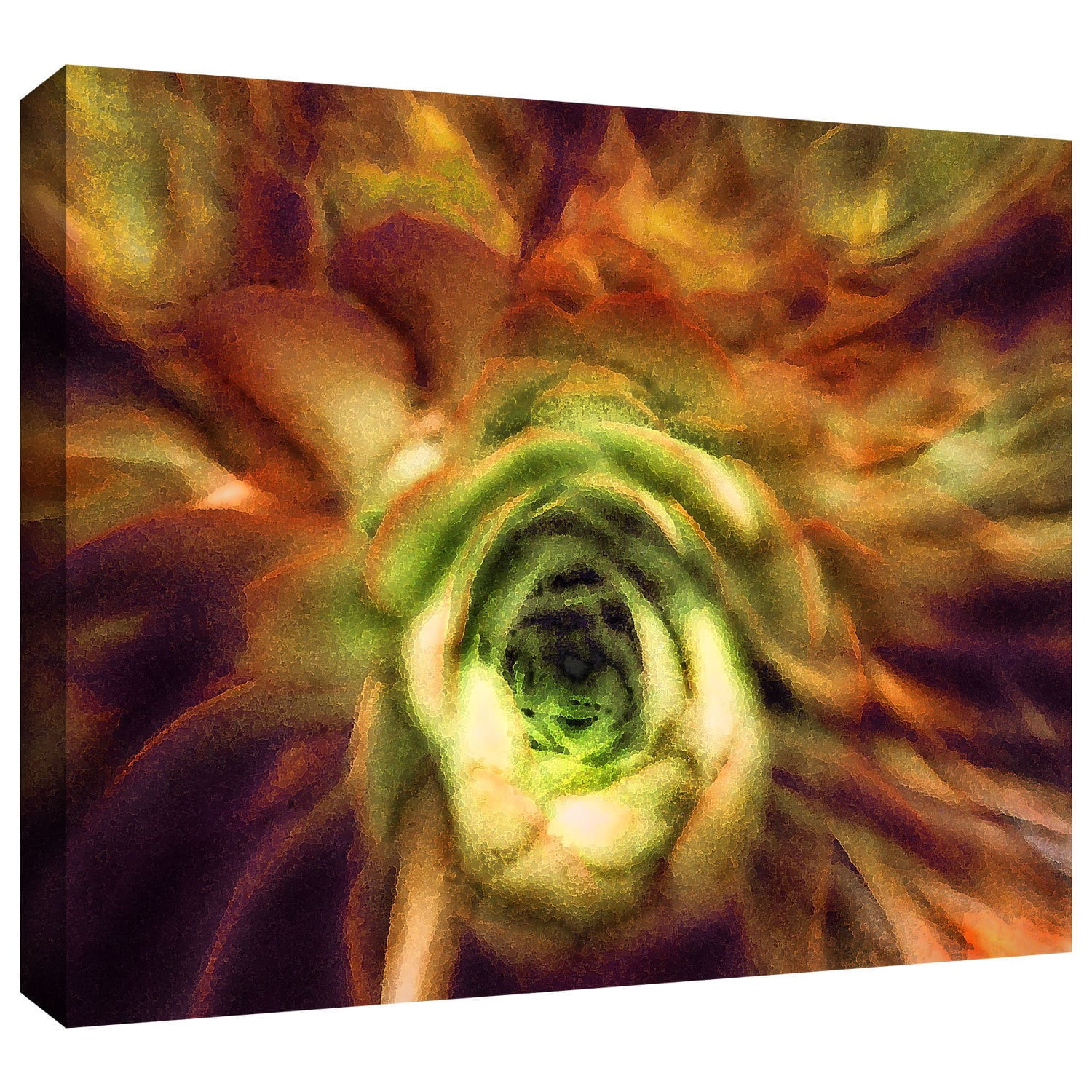 Dean Uhlinger "Manana Suculentos" Gallery-Wrapped Canvas